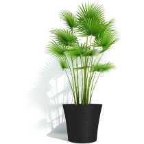 Pot de fleurs - GARDEN ID - Green Care Sense Noir-Anthracite - 50 x 41