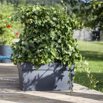 EDA Muret avec roulettes Toscane - 79 x 35 x H 39 cm - 74 L - Noir