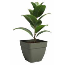 Pot - ARTEVASI - CAPRI CAMPANA - Carrée� - Vert sec - L36,5 x P36,5