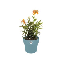 ELHO B.for Original Pot de fleurs rond 30 - Bleu - Ø 30 x H 27 cm - i