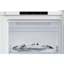 Congélateur armoire - BEKO - RFSM200T40WN - Classe E - 196 L - 145,7