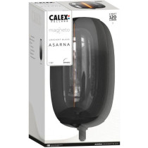 Ampoule LED E27 - CALEX - MAGNETO ASARNA - Filament flexible - 4 W - 1