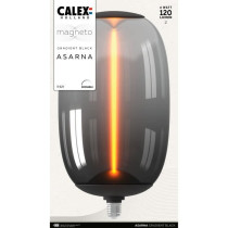 Ampoule LED E27 - CALEX - MAGNETO ASARNA - Filament flexible - 4 W - 1