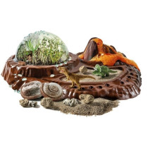 Clementoni - Sciences et jeu - Le monde des dinosaures - Terrarium a c