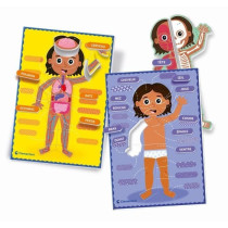 Montessori - Clementoni - Le Corps Humain - Jeu éducatif pour apprend