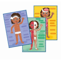 Montessori - Clementoni - Le Corps Humain - Jeu éducatif pour apprend