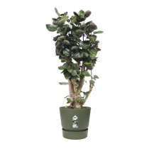 ELHO Pot de fleurs rond Greenville 40 - Extérieur - Ø 39 x H 36,8 cm