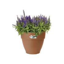 Elho Vibia Campana Bac a fleurs Rond 55 - Marron - Ø 55 x H 47 cm - e