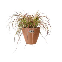 Elho Vibia Campana Bac a fleurs Rond 55 - Marron - Ø 55 x H 47 cm - e