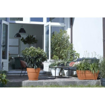 Elho Vibia Campana Bac a fleurs Terrasse 80 - Marron - L 77 x B 35 x H