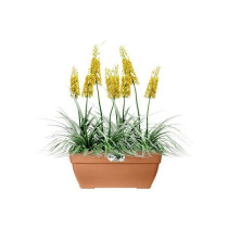 Elho Vibia Campana Bac a fleurs Terrasse 80 - Marron - L 77 x B 35 x H