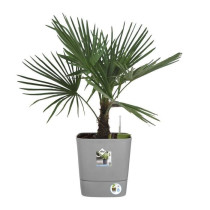 Pot de fleurs ELHO - Greensense Aqua Care Carré 38 - Ciment Clair - I
