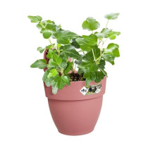 ELHO - Pot de fleurs - Vibia Campana Easy Hanger Small - Rose Poussier