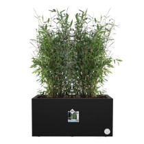 Elho Vivo Next Long 80 Bac a fleurs - Noir - L 78 x B 39 x H 38 cm - i