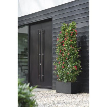 Elho Vivo Next Long 80 Bac a fleurs - Noir - L 78 x B 39 x H 38 cm - i