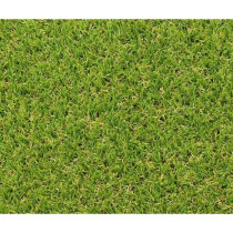 Gazon synthétique - Exelgreen - Campus 25mm - 1m x 5m