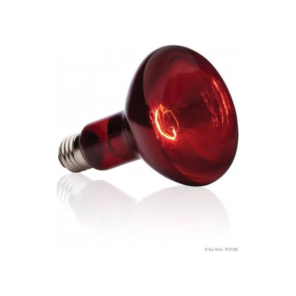 BASKING SPOT lampe infrarouge 75 W BASKING SPOT lampe infrarouge 75 W