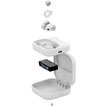 Ecouteurs sans fil Bluetooth - FAIRPHONE - Fairbuds True Wireless Earb