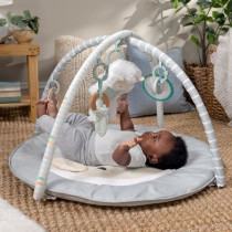 INGENUITY Tapis d'éveil tout confort Petit Mouton, Arche de jeu amovi