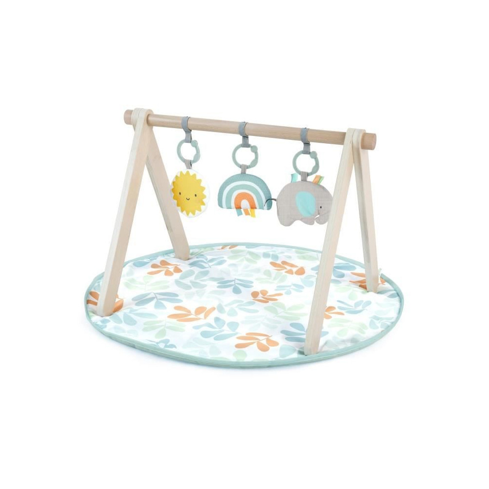 INGENUITY Tapis d'éveil Sun Valley, arche de jeu en bois - 3 jouets a