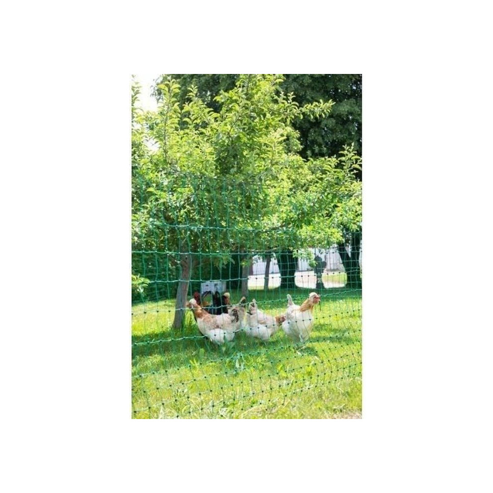 KERBL Filet pour les poules 50 m - 106 cm - double pointe - vert - non