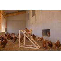 Tour d'escalade pour poules - KERBL - 85 x 55 x 76 cm - Avec balançoi