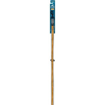 Laisse mains libres - KURGO - QUANTUM - 6 positions - 120 a 180 cm - O
