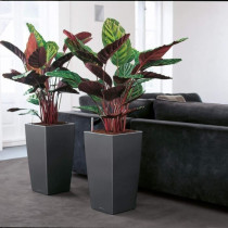 Pot de fleur - LEC - Cubico Premium 40 - Rouge - Avec réserve d'eau -