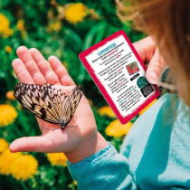 Kit d'exploration de la nature - LISCIANI - Boussole incluse pour deve