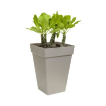 Elho Loft Urban Bac a fleurs Carré Haut 37 - Noir - Ø 37 x H 51 cm -