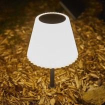 Lampe de table solaire 2 en 1 a planter ou a poser - LUMISKY - BOUFFAN