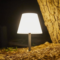Lampe de table solaire 2 en 1 a planter ou a poser - LUMISKY - BOUFFAN