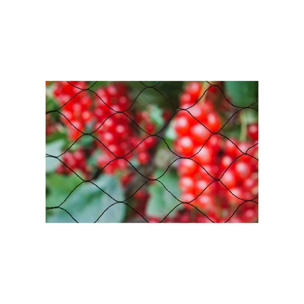Filet anti-oiseaux Primo 5x2m en maille tricotée polyéthylene 12gr/m