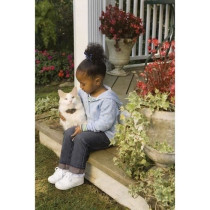 PetSafe - Clôture Anti-Fugue Deluxe avec Collier spécial Chat - Éta