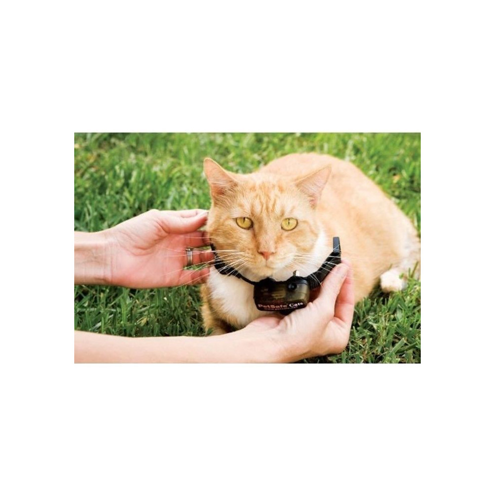 PetSafe - Collier supplémentaire pour clôture anti-fugu chat, 4 nive