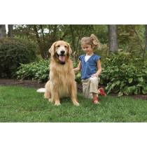 Clôture anti-fugue extérieur standard avec fil pour chien, Systeme d