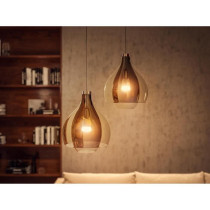 Ampoules connectées Philips Hue White Ambiance standard E27 75W a l'u