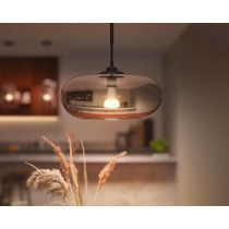 Ampoules connectées Philips Hue White Ambiance standard E27 75W a l'u