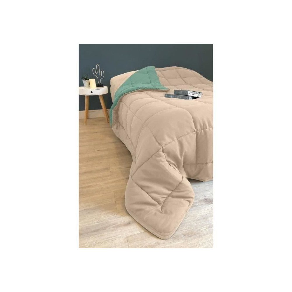 CALGARY Couette chaude Microfibre 400g/m² Beige Galet & Vert Lac 240x