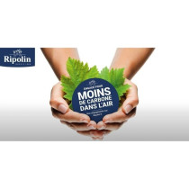 RIPOLIN Peinture façade ton Meuliere 10L