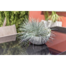 Pot de fleur EDA Plastique Rond Graphit Up Blanc cérusé Ø 40 cm 14,