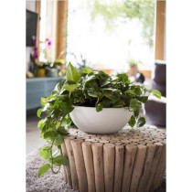 Pot de fleur EDA Plastique Rond Graphit Up Blanc cérusé Ø 40 cm 14,