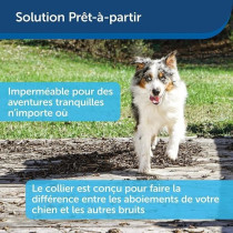 PetSafe - Collier Anti-Aboiement pour Chien, Stimulation Eléctrostati