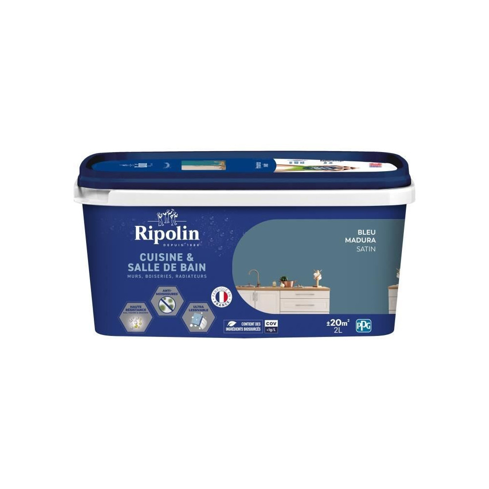 Peinture murs, boiseries, plafonds, radiateurs - RIPOLIN - Cuisine et