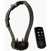 Collier de dressage CANICOM 200 First - Portée 200 metres - Pour 1 ch