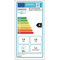 Climatiseur mobile monobloc - OCEANIC - 2930W - 10000 BTU - Programmab