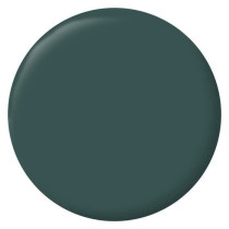 RIPOLIN Peinture Couleur Velours pour Murs, Boiseries Radiateurs - Ver