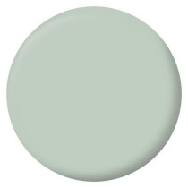 RIPOLIN Peinture Couleur Velours pour Murs, Boiseries Radiateurs - Ver