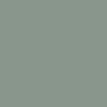 Peinture de décoration murale intérieure - Vert nobile mat - RIPOLIN