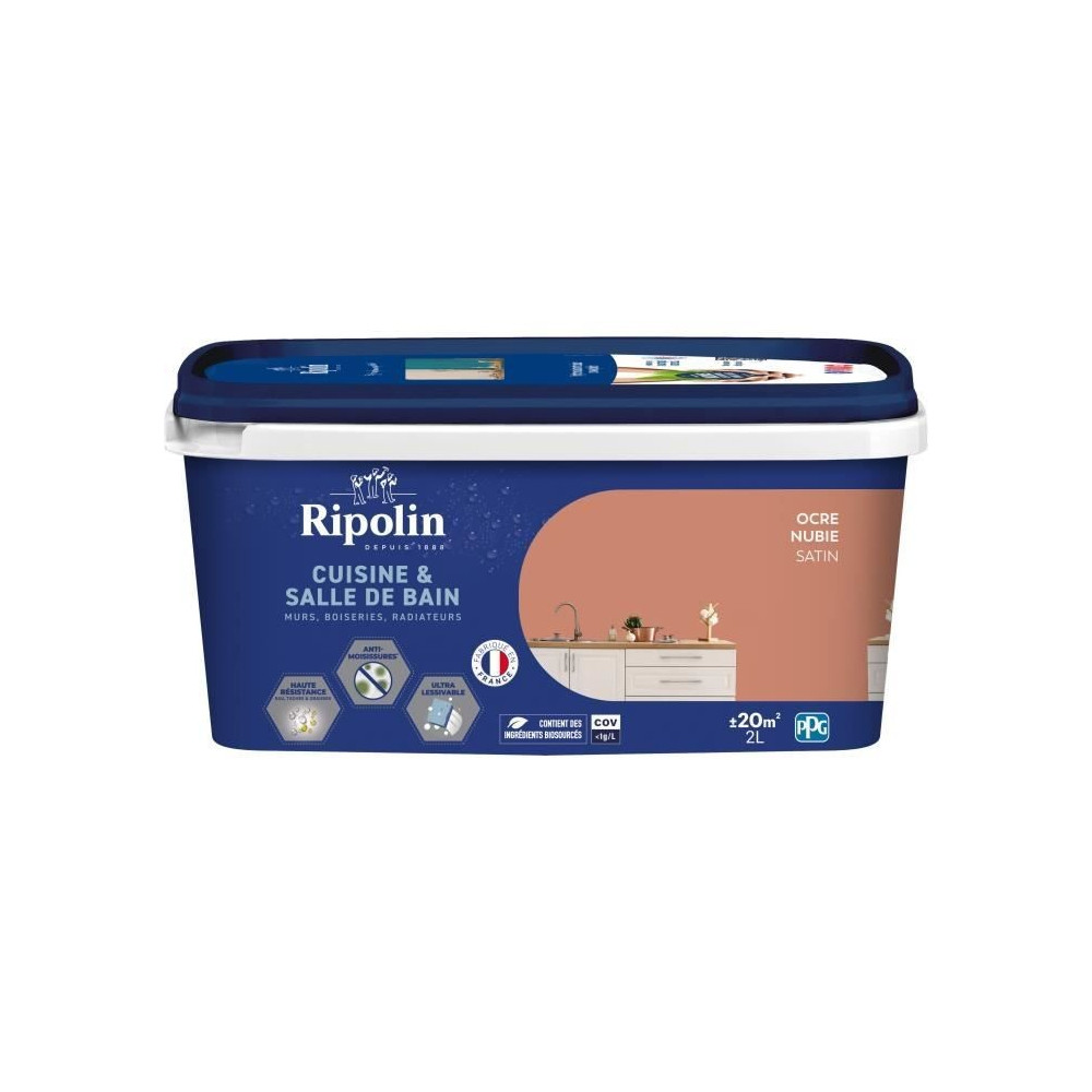 Peinture murs, boiseries, plafonds, radiateurs - RIPOLIN - Cuisine et
